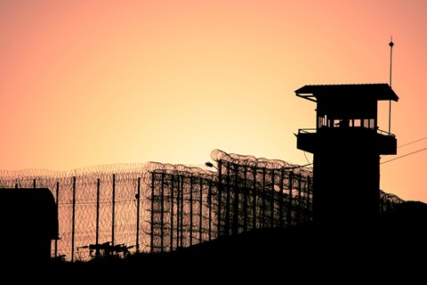 Mandatory sentencing in Queensland
