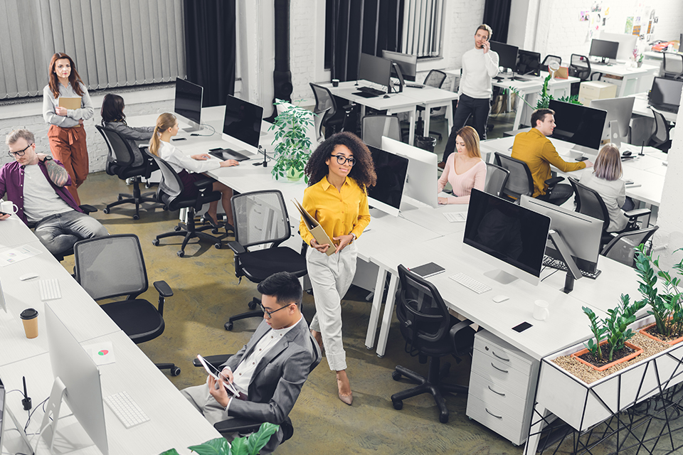 Public Sector Act 2022 – new employment framework for public sector employees in Queensland